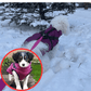 🐶Hot Sale 50% OFF🔥3 in 1 Winter Waterproof Warm Dog Jacket With Built-in Harness