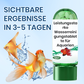 ⏳Begrenzte Zeit 57% Rabatt💥🚀Kaufen 5 und erhalten 5 gratis♻️💧Leistungsstarke Wasserreinigungstablette für Aquarien