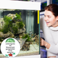 ⏳Begrenzte Zeit 57% Rabatt💥🚀Kaufen 5 und erhalten 5 gratis♻️💧Leistungsstarke Wasserreinigungstablette für Aquarien