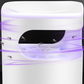 ✨Große Preisreduzierung und 50% Rabatt im Sommer✨🔇🦟UV Fly Trap mit Transparent Catch Box