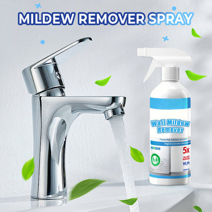 ✨ Schimmel- und Schimmelentfernungsspray