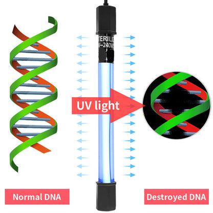 🐟 50% Rabatt! ✨ Der UV-Wasserklärer mit Timer – tötet unsichtbare Krankheitserreger, beugt Algen vor. Einfache Installation.