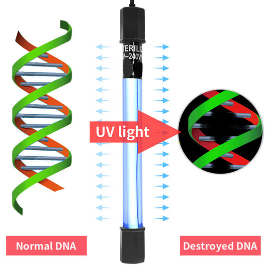🐟 50% Rabatt! ✨ Der UV-Wasserklärer mit Timer – tötet unsichtbare Krankheitserreger, beugt Algen vor. Einfache Installation.