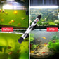 🐟 50% Rabatt! ✨ Der UV-Wasserklärer mit Timer – tötet unsichtbare Krankheitserreger, beugt Algen vor. Einfache Installation.