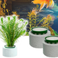 Befestigungsring für Wasserpflanzen, Keramik-Set