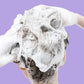 Deep Moisture Erfrischendes Shampoo gegen Schuppen