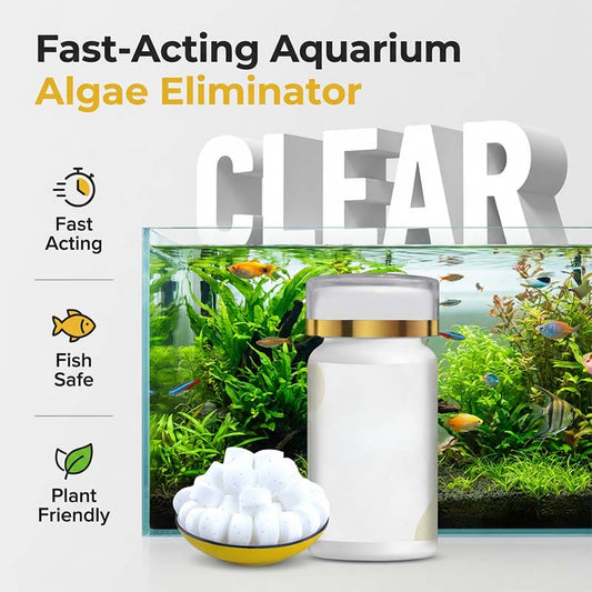 Mittel gegen grünes Wasser und Moos im Aquarium