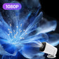 💐 50% OFF FLASH SALE! 1080P WiFi Projector – Wireless Mirroring, Built‑in Stereo 🎬📽️ 【50K+ Sold】