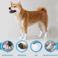 🥳2026 HOT SALE🥳💞50K+ SOLD!🐾💧 50% OFF! Waterproof Disposable Dog Paw Protectors – Keep paws clean, floors spotless. No more muddy prints! 20pcs/pack. 🧼✨