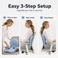 🪑50% OFF NOW! ✨Ergonomic memory foam seat cushion with back support