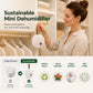 Reusable Mini Dehumidifier for Home