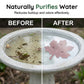 Universal Fit Bird Bath Purifier | 10.4cm x 10cm (4.09in x 3.94in)