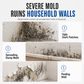 Fast-Acting Wall Mold Remover Spray