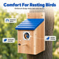 🐦 50% OFF! ✨ Weatherproof Wooden Outdoor Bird House – Solid Thickened Natural Timber with Sky Blue Slanted Roof, Predator-Safe Metal Reinforced Entry Guard & Round Resting Perch🏡